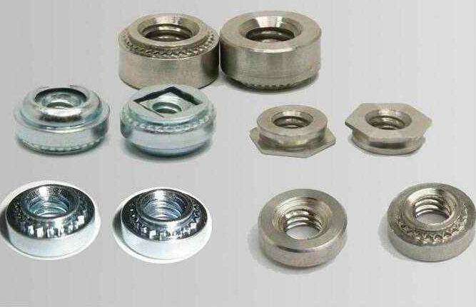 03233.jpg 不锈钢卡套螺母